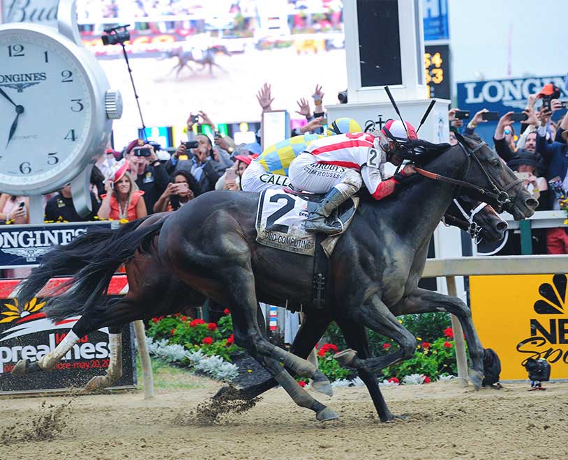 How to bet on the preakness horse race